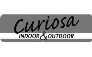 curiosa